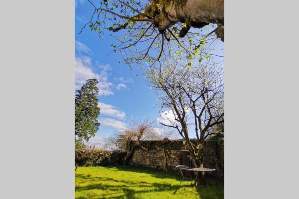 Amalouyse Studio De Charme Au Coeur Des Chateaux De Loire Montlouis-sur-Loire Ngoại thất bức ảnh